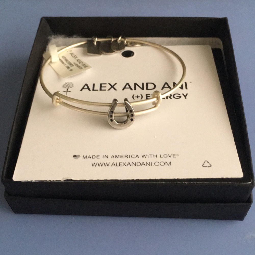 Alex and Ani Horseshoe 2 NWT